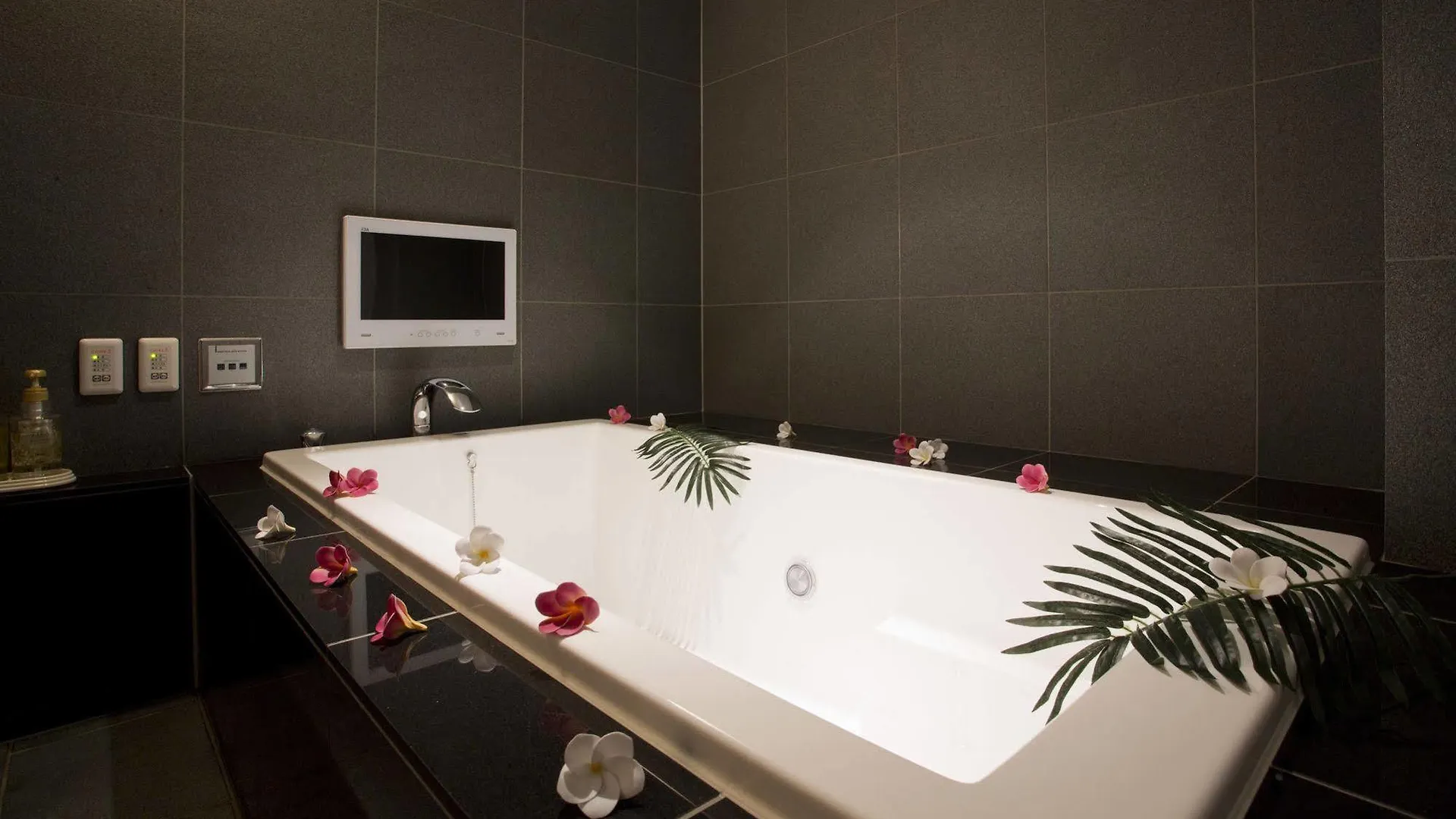 Hotel And Spa Lotus Modern (Adults Only) Kyoto 2*,  Japon