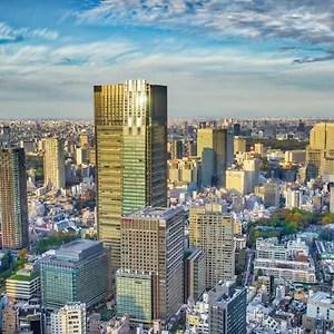 https://ritz-carlton.alltokyohotels.com